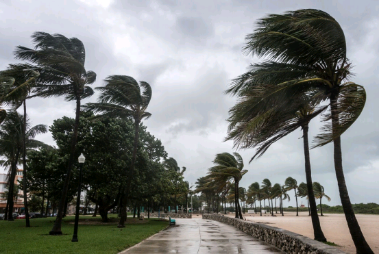 AI BLC Hurricane Maria and Irma Insurance Claims Assistance